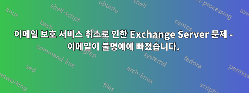 이메일 보호 서비스 취소로 인한 Exchange Server 문제 - 이메일이 불명예에 빠졌습니다.