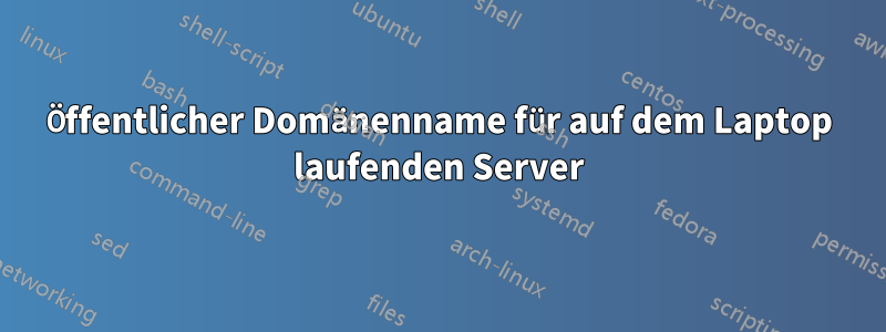 Öffentlicher Domänenname für auf dem Laptop laufenden Server