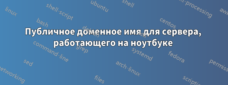 Публичное доменное имя для сервера, работающего на ноутбуке