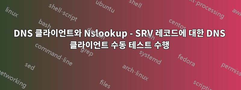 DNS 클라이언트와 Nslookup - SRV 레코드에 대한 DNS 클라이언트 수동 테스트 수행