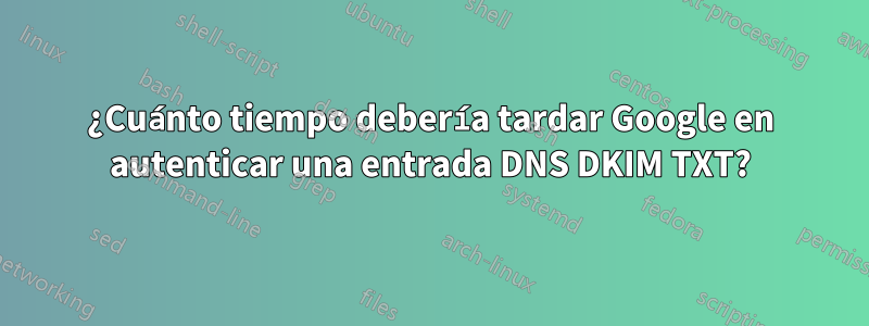 ¿Cuánto tiempo debería tardar Google en autenticar una entrada DNS DKIM TXT?