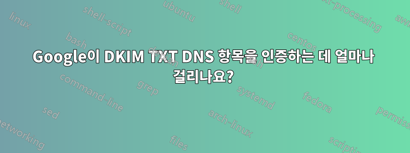 Google이 DKIM TXT DNS 항목을 인증하는 데 얼마나 걸리나요?