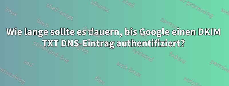 Wie lange sollte es dauern, bis Google einen DKIM TXT DNS-Eintrag authentifiziert?