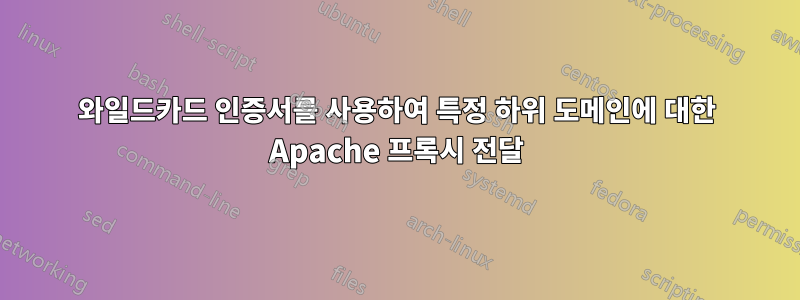 와일드카드 인증서를 사용하여 특정 하위 도메인에 대한 Apache 프록시 전달