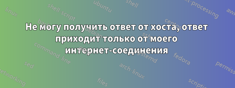 Не могу получить ответ от хоста, ответ приходит только от моего интернет-соединения