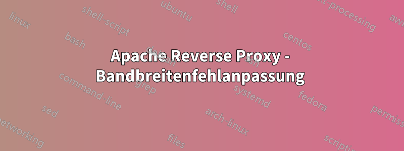 Apache Reverse Proxy - Bandbreitenfehlanpassung