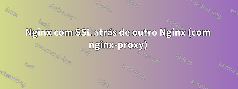 Nginx com SSL atrás de outro Nginx (com nginx-proxy)