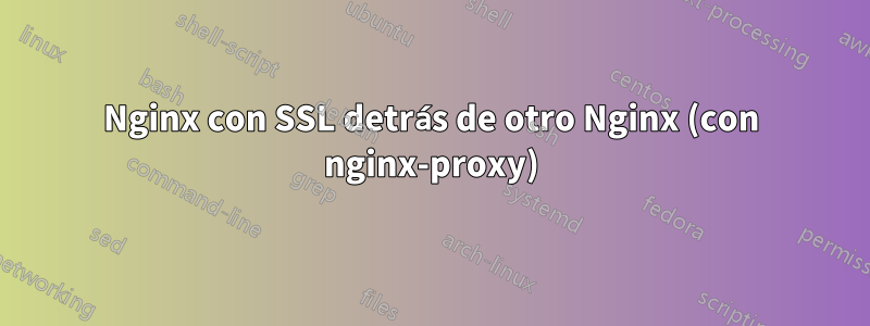 Nginx con SSL detrás de otro Nginx (con nginx-proxy)