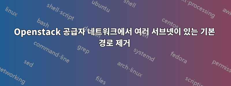 Openstack 공급자 네트워크에서 여러 서브넷이 있는 기본 경로 제거