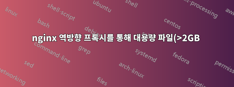 nginx 역방향 프록시를 통해 대용량 파일(>2GB)을 컨테이너에 업로드하는 중 오류가 발생했습니다.