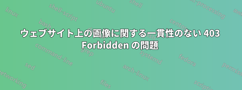 ウェブサイト上の画像に関する一貫性のない 403 Forbidden の問題