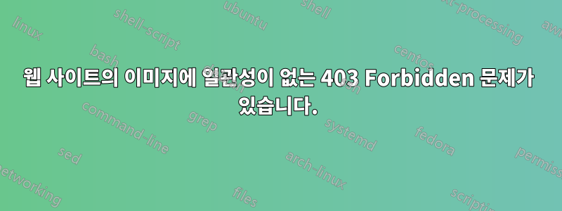 웹 사이트의 이미지에 일관성이 없는 403 Forbidden 문제가 있습니다.