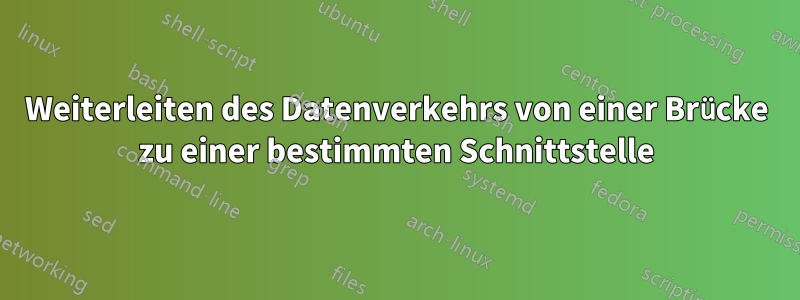 Weiterleiten des Datenverkehrs von einer Brücke zu einer bestimmten Schnittstelle