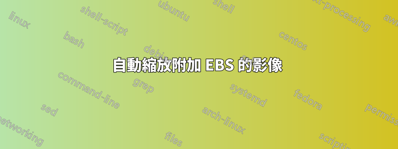 自動縮放附加 EBS 的影像