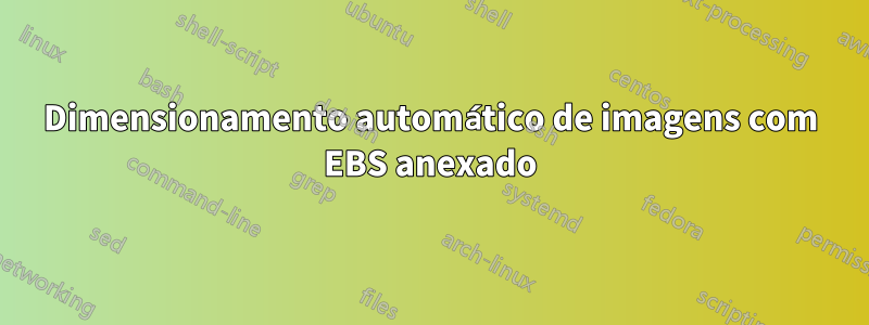 Dimensionamento automático de imagens com EBS anexado