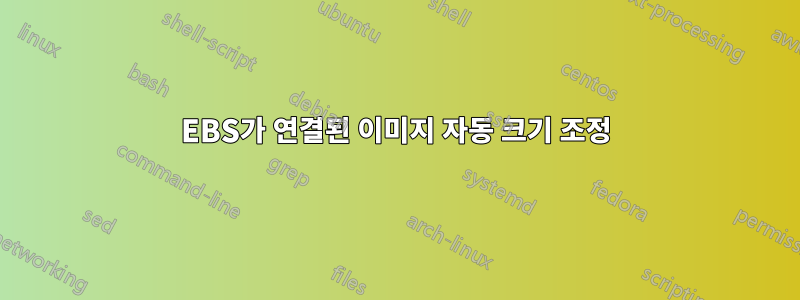 EBS가 연결된 이미지 자동 크기 조정