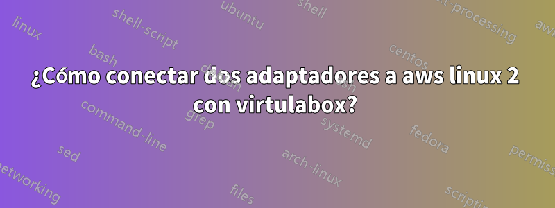 ¿Cómo conectar dos adaptadores a aws linux 2 con virtulabox?