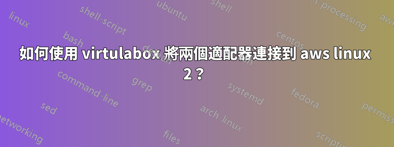 如何使用 virtulabox 將兩個適配器連接到 aws linux 2？