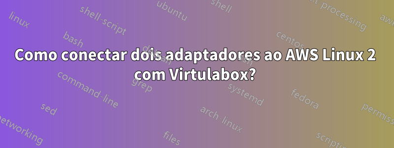 Como conectar dois adaptadores ao AWS Linux 2 com Virtulabox?