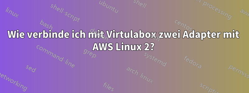 Wie verbinde ich mit Virtulabox zwei Adapter mit AWS Linux 2?