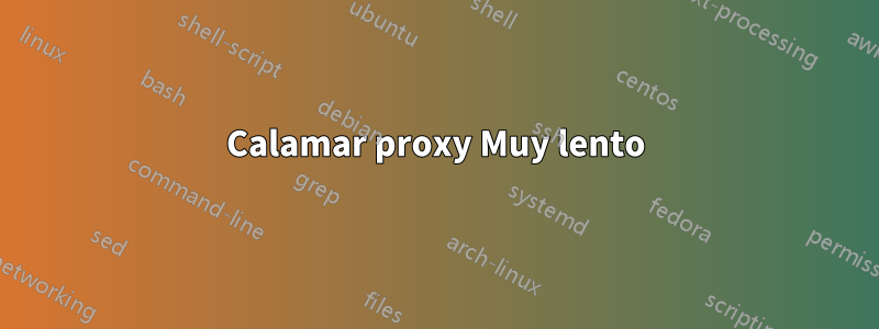 Calamar proxy Muy lento