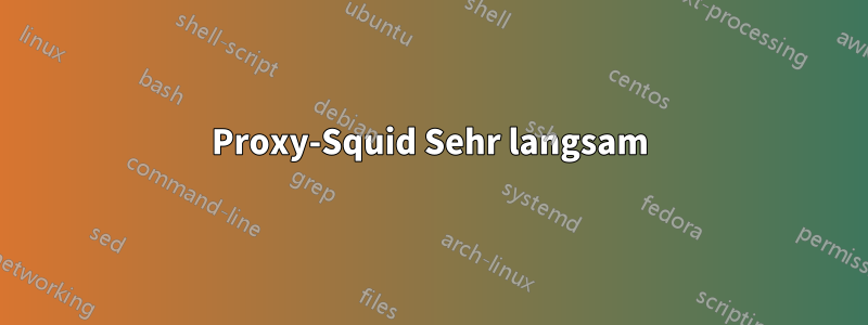 Proxy-Squid Sehr langsam