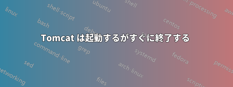 Tomcat は起動するがすぐに終了する