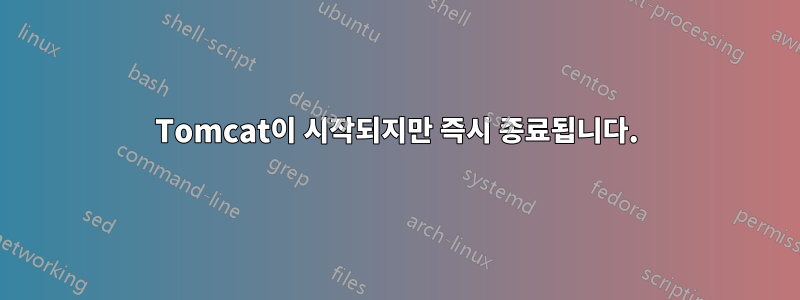 Tomcat이 시작되지만 즉시 종료됩니다.