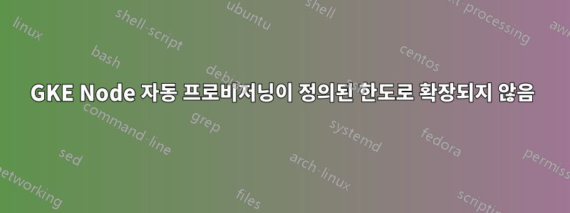 GKE Node 자동 프로비저닝이 정의된 한도로 확장되지 않음