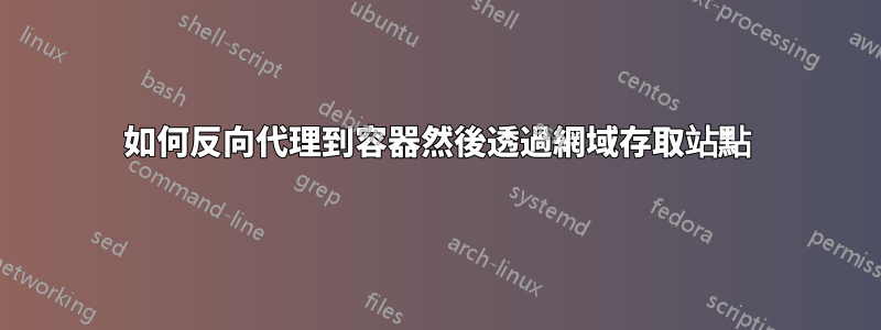 如何反向代理到容器然後透過網域存取站點