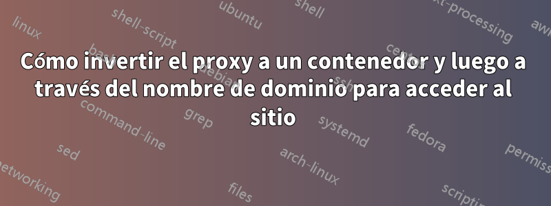 Cómo invertir el proxy a un contenedor y luego a través del nombre de dominio para acceder al sitio