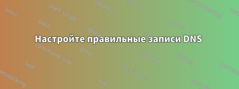 Настройте правильные записи DNS