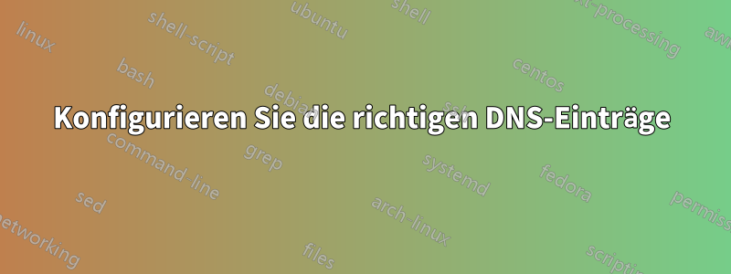 Konfigurieren Sie die richtigen DNS-Einträge