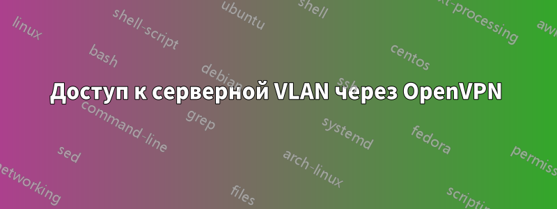 Доступ к серверной VLAN через OpenVPN