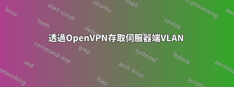 透過OpenVPN存取伺服器端VLAN