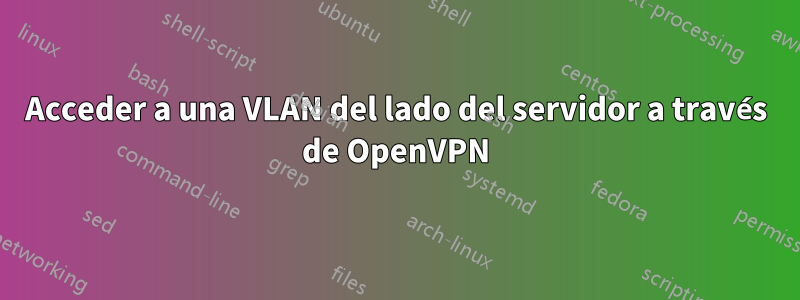 Acceder a una VLAN del lado del servidor a través de OpenVPN