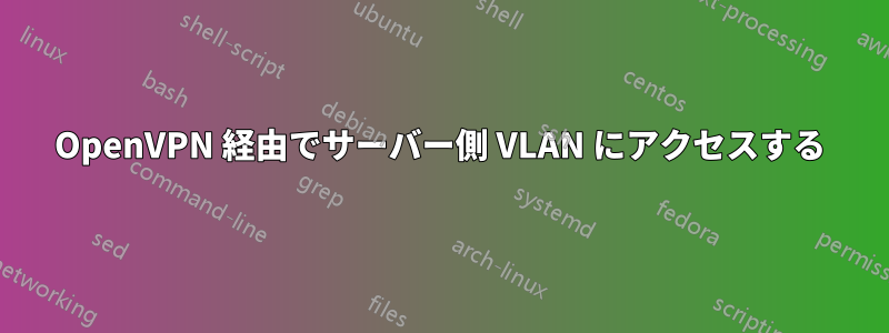 OpenVPN 経由でサーバー側 VLAN にアクセスする