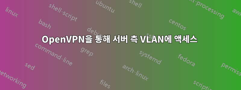 OpenVPN을 통해 서버 측 VLAN에 액세스