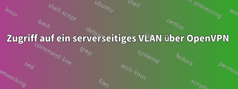 Zugriff auf ein serverseitiges VLAN über OpenVPN