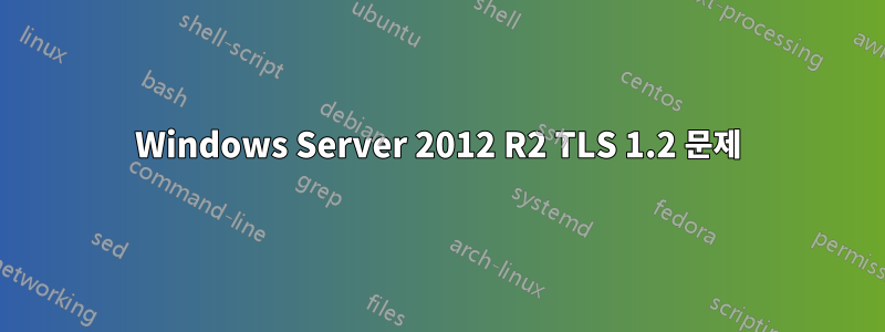 Windows Server 2012 R2 TLS 1.2 문제