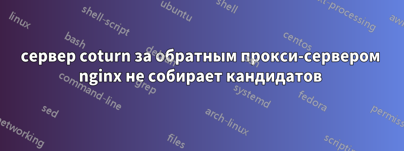 сервер coturn за обратным прокси-сервером nginx не собирает кандидатов