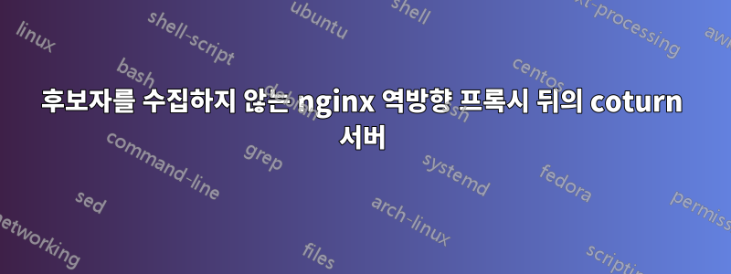 후보자를 수집하지 않는 nginx 역방향 프록시 뒤의 coturn 서버