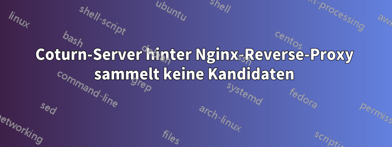 Coturn-Server hinter Nginx-Reverse-Proxy sammelt keine Kandidaten