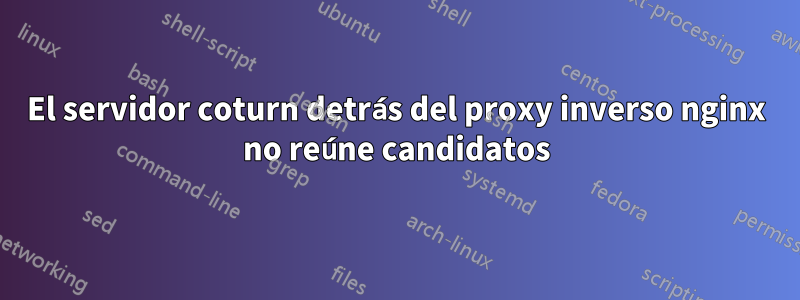 El servidor coturn detrás del proxy inverso nginx no reúne candidatos