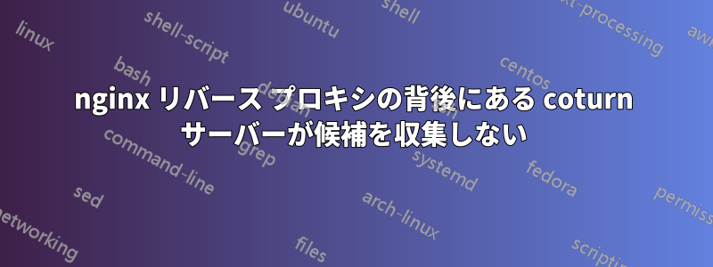 nginx リバース プロキシの背後にある coturn サーバーが候補を収集しない