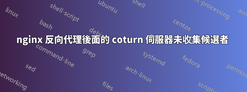 nginx 反向代理後面的 coturn 伺服器未收集候選者