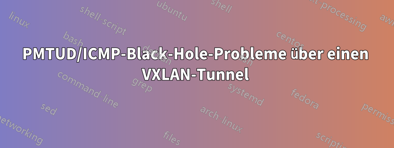 PMTUD/ICMP-Black-Hole-Probleme über einen VXLAN-Tunnel