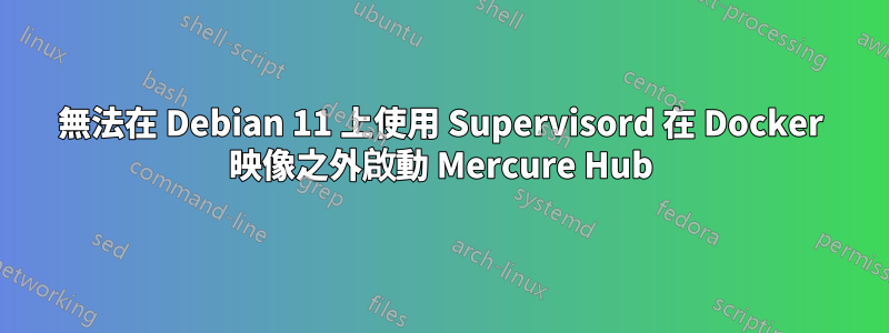 無法在 Debian 11 上使用 Supervisord 在 Docker 映像之外啟動 Mercure Hub