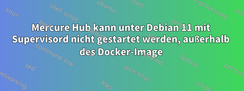 Mercure Hub kann unter Debian 11 mit Supervisord nicht gestartet werden, außerhalb des Docker-Image