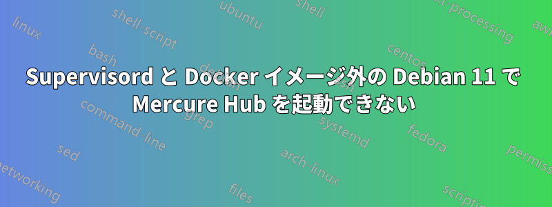 Supervisord と Docker イメージ外の Debian 11 で Mercure Hub を起動できない